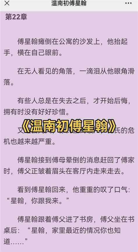 溫初傅行止|溫南初傅斯硯作品集[共1本]作者：溫南初傅斯硯